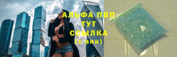 прущие крисы Аркадак