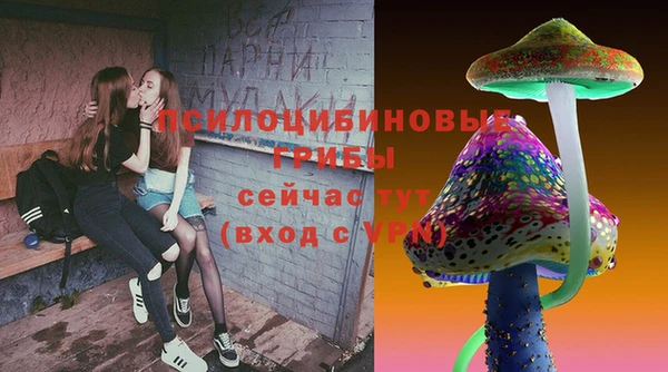 прущие крисы Аркадак