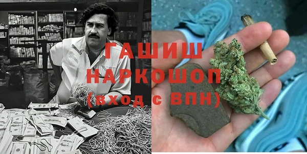 мдпв Елабуга