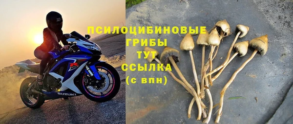 прущие крисы Аркадак