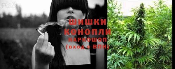 индика Заводоуковск